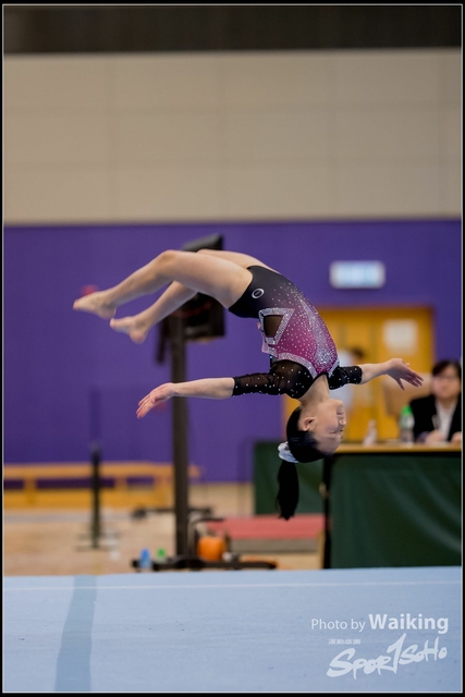 2019-03-31 Artistic Gym 0337