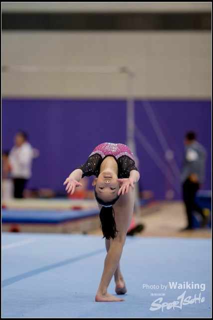 2019-03-31 Artistic Gym 0340