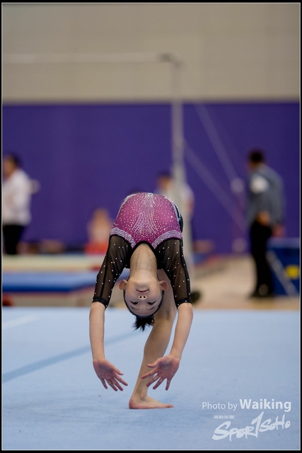 2019-03-31 Artistic Gym 0341