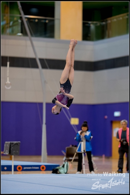 2019-03-31 Artistic Gym 0350