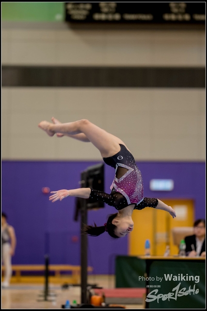 2019-03-31 Artistic Gym 0352