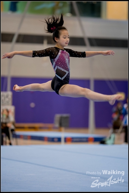 2019-03-31 Artistic Gym 0354