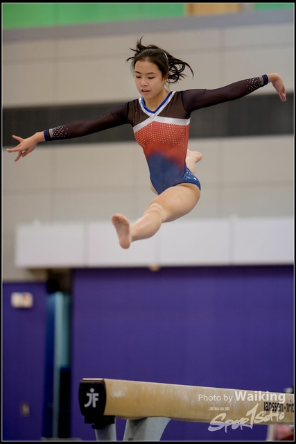 2019-03-31 Artistic Gym 0360
