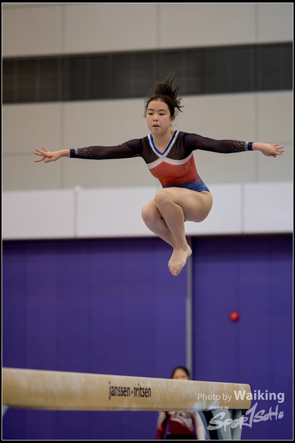 2019-03-31 Artistic Gym 0361