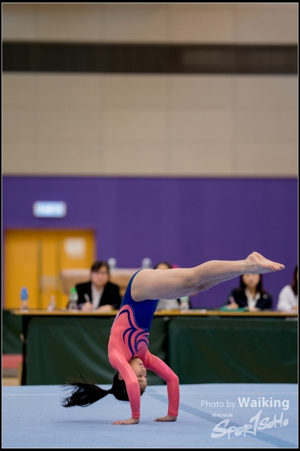 2019-03-31 Artistic Gym 0366