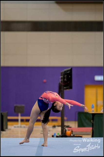 2019-03-31 Artistic Gym 0367