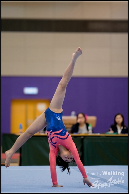 2019-03-31 Artistic Gym 0368