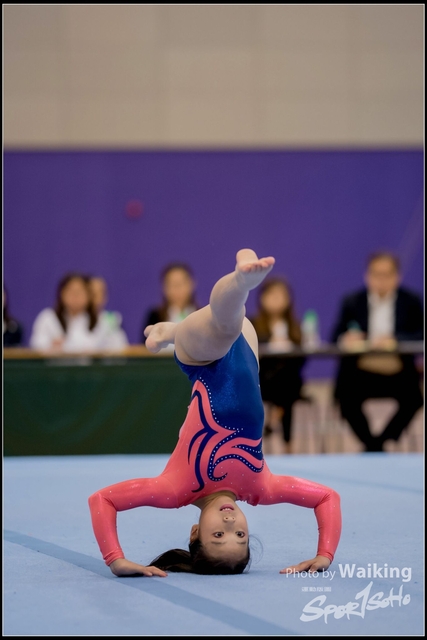 2019-03-31 Artistic Gym 0373