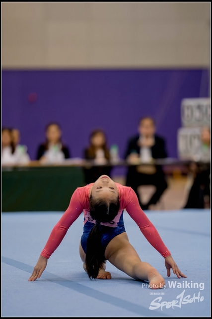 2019-03-31 Artistic Gym 0374