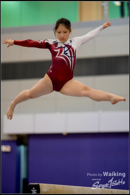 2019-03-31 Artistic Gym 0377