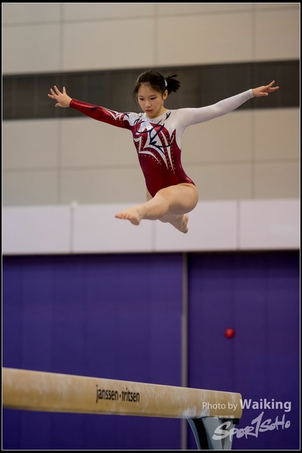 2019-03-31 Artistic Gym 0381