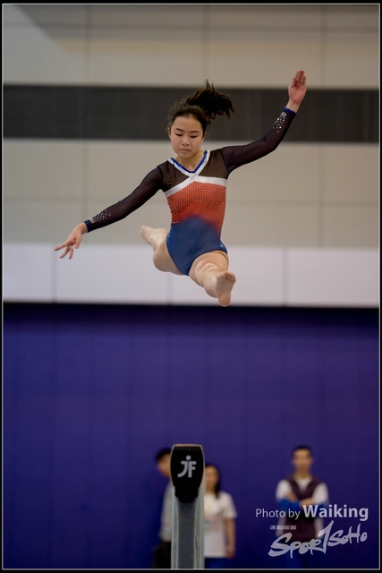 2019-03-31 Artistic Gym 0385