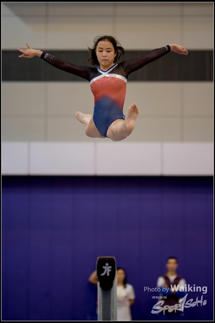 2019-03-31 Artistic Gym 0387