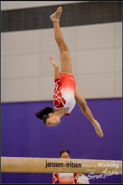 2019-03-31 Artistic Gym 0431