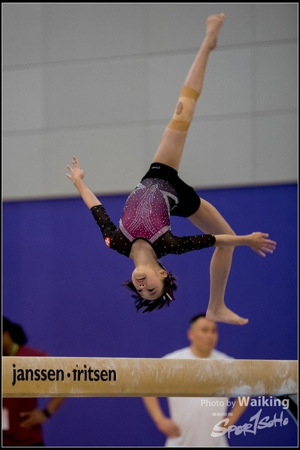 2019-03-31 Artistic Gym 0438