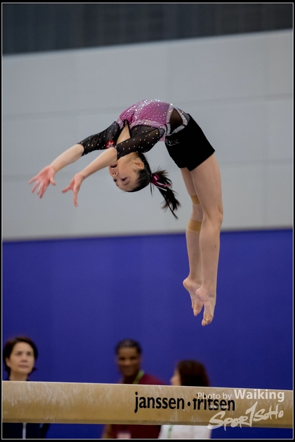 2019-03-31 Artistic Gym 0439