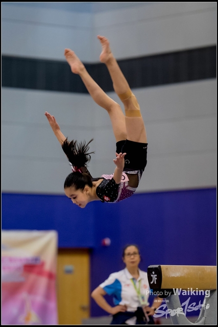 2019-03-31 Artistic Gym 0440