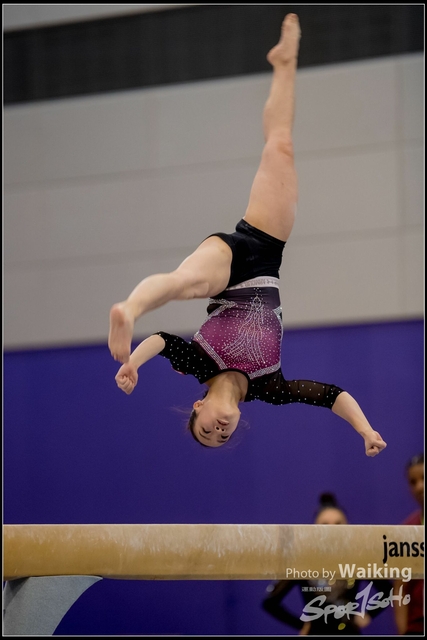 2019-03-31 Artistic Gym 0443
