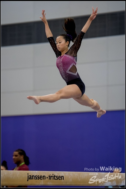 2019-03-31 Artistic Gym 0445