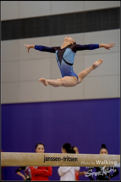 2019-03-31 Artistic Gym 0447
