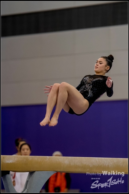2019-03-31 Artistic Gym 0457