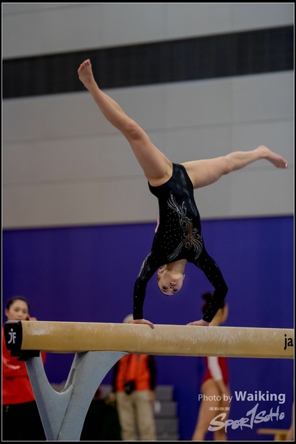 2019-03-31 Artistic Gym 0461