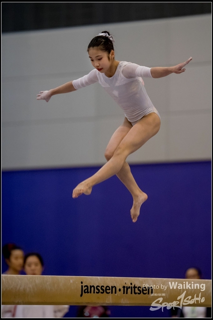 2019-03-31 Artistic Gym 0463