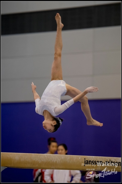 2019-03-31 Artistic Gym 0465