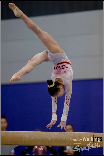 2019-03-31 Artistic Gym 0468