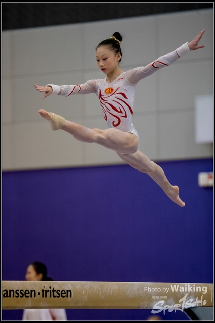 2019-03-31 Artistic Gym 0469