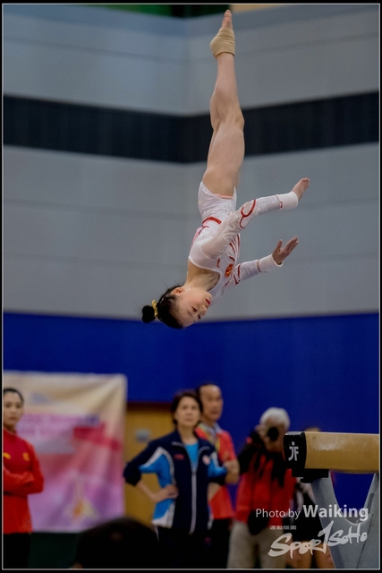 2019-03-31 Artistic Gym 0473