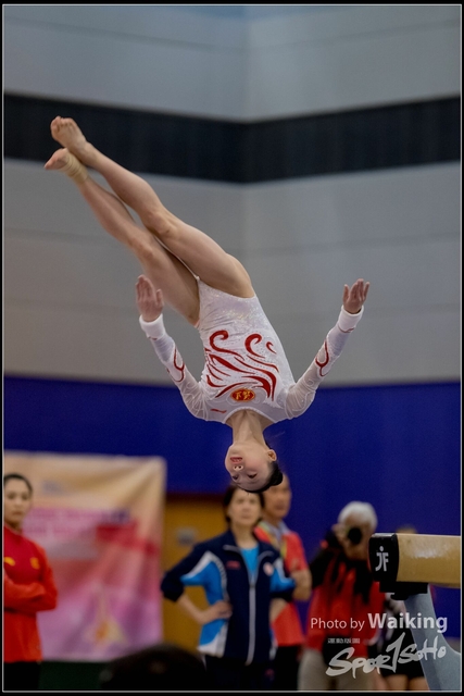 2019-03-31 Artistic Gym 0474
