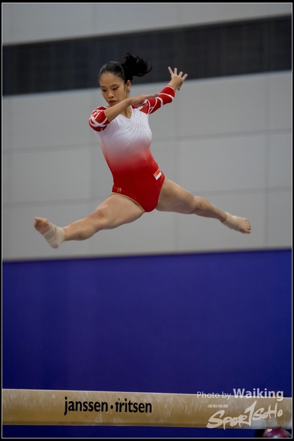 2019-03-31 Artistic Gym 0475