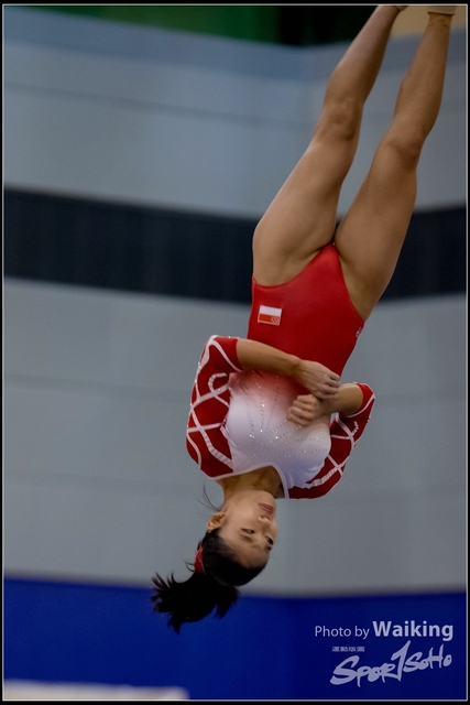 2019-03-31 Artistic Gym 0481