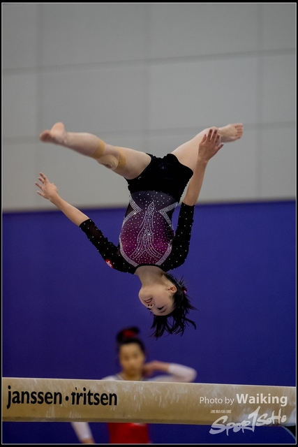 2019-03-31 Artistic Gym 0482