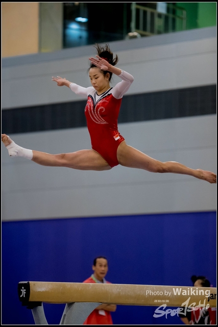2019-03-31 Artistic Gym 0484