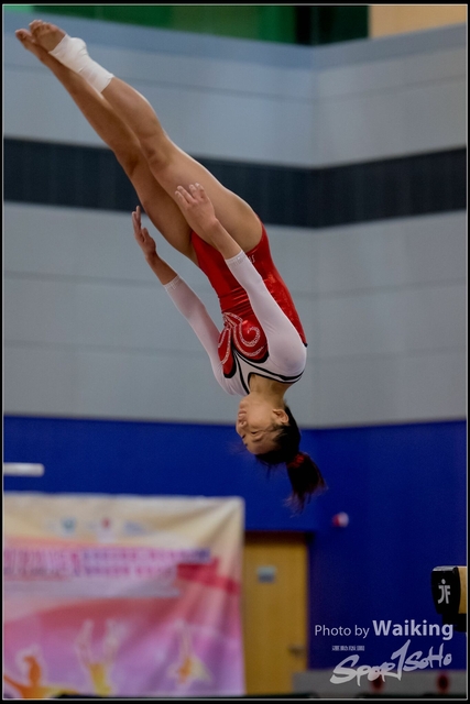 2019-03-31 Artistic Gym 0486
