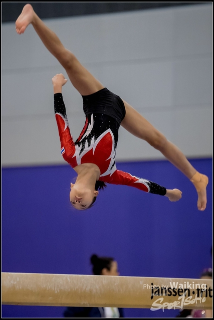 2019-03-31 Artistic Gym 0488