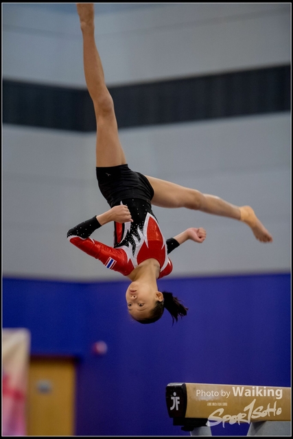 2019-03-31 Artistic Gym 0492