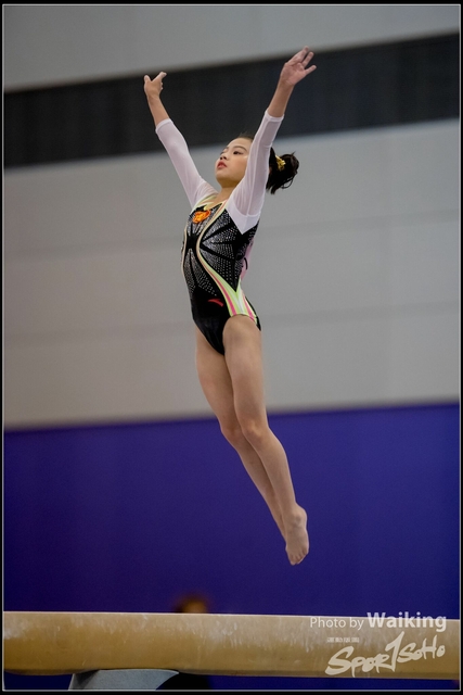 2019-03-31 Artistic Gym 0493