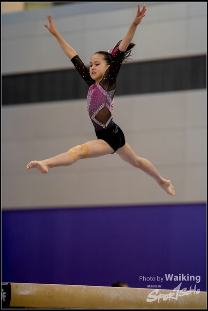 2019-03-31 Artistic Gym 0497