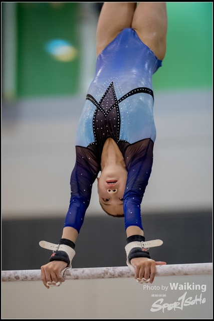 2019-03-31 Artistic Gym 0500