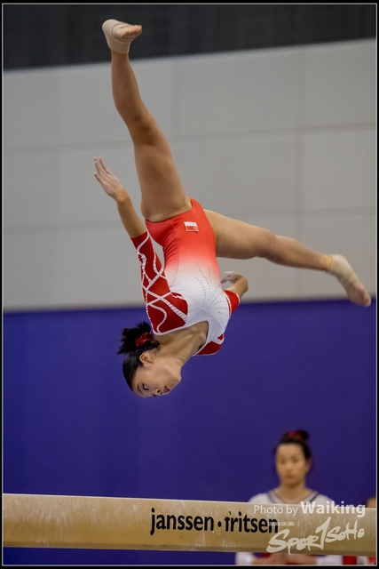 2019-03-31 Artistic Gym 0502