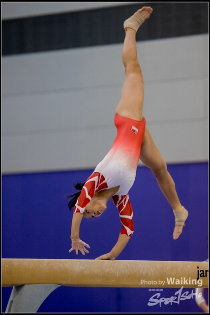 2019-03-31 Artistic Gym 0503