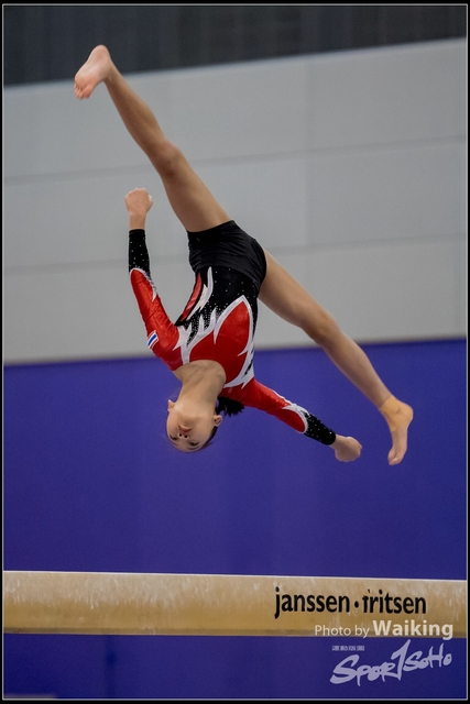 2019-03-31 Artistic Gym 0504