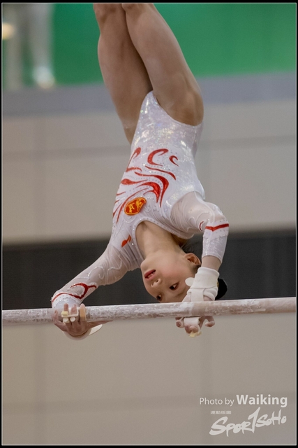 2019-03-31 Artistic Gym 0505