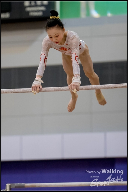 2019-03-31 Artistic Gym 0507