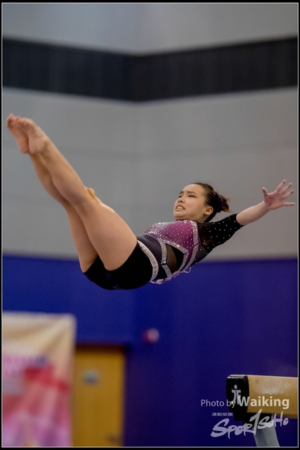 2019-03-31 Artistic Gym 0508