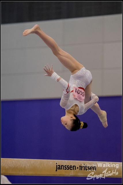 2019-03-31 Artistic Gym 0513