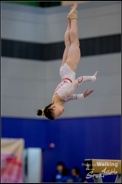 2019-03-31 Artistic Gym 0515